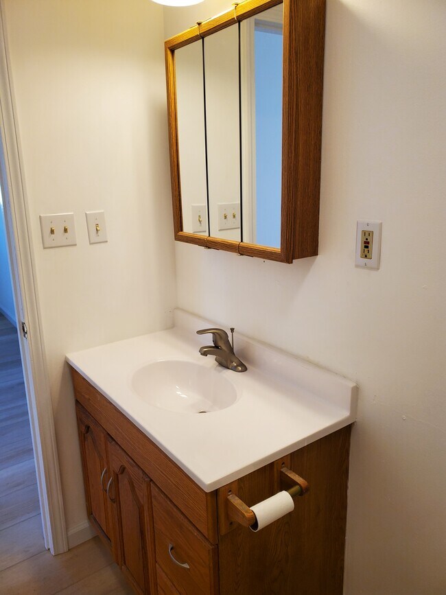 Bathroom Vanity - 713 Spruce St