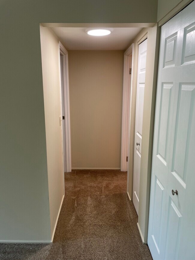 Hallway - 2118 Pauline Blvd
