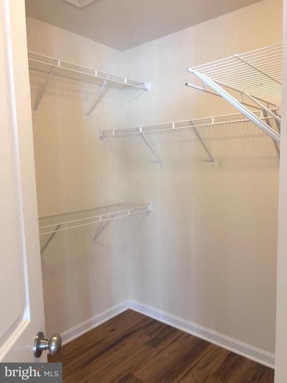 Building Photo - 9623 Smithview Pl