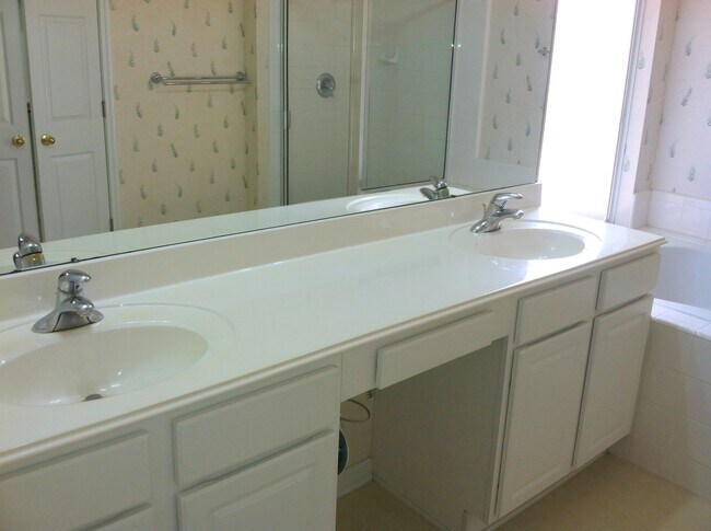 Master bathroom - 6206 Salcon Cliff Dr