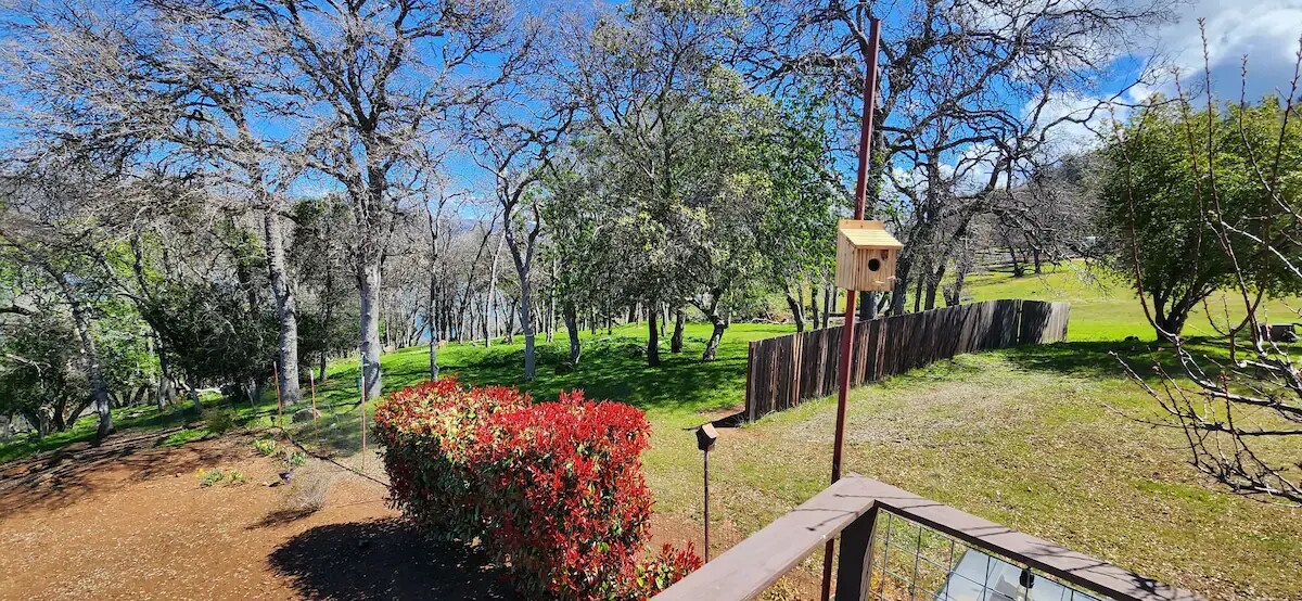 Next door empty lot view - 2844 Marina View Dr