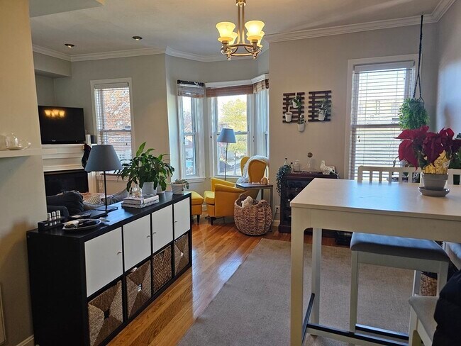 Primary Photo - 205 D St
