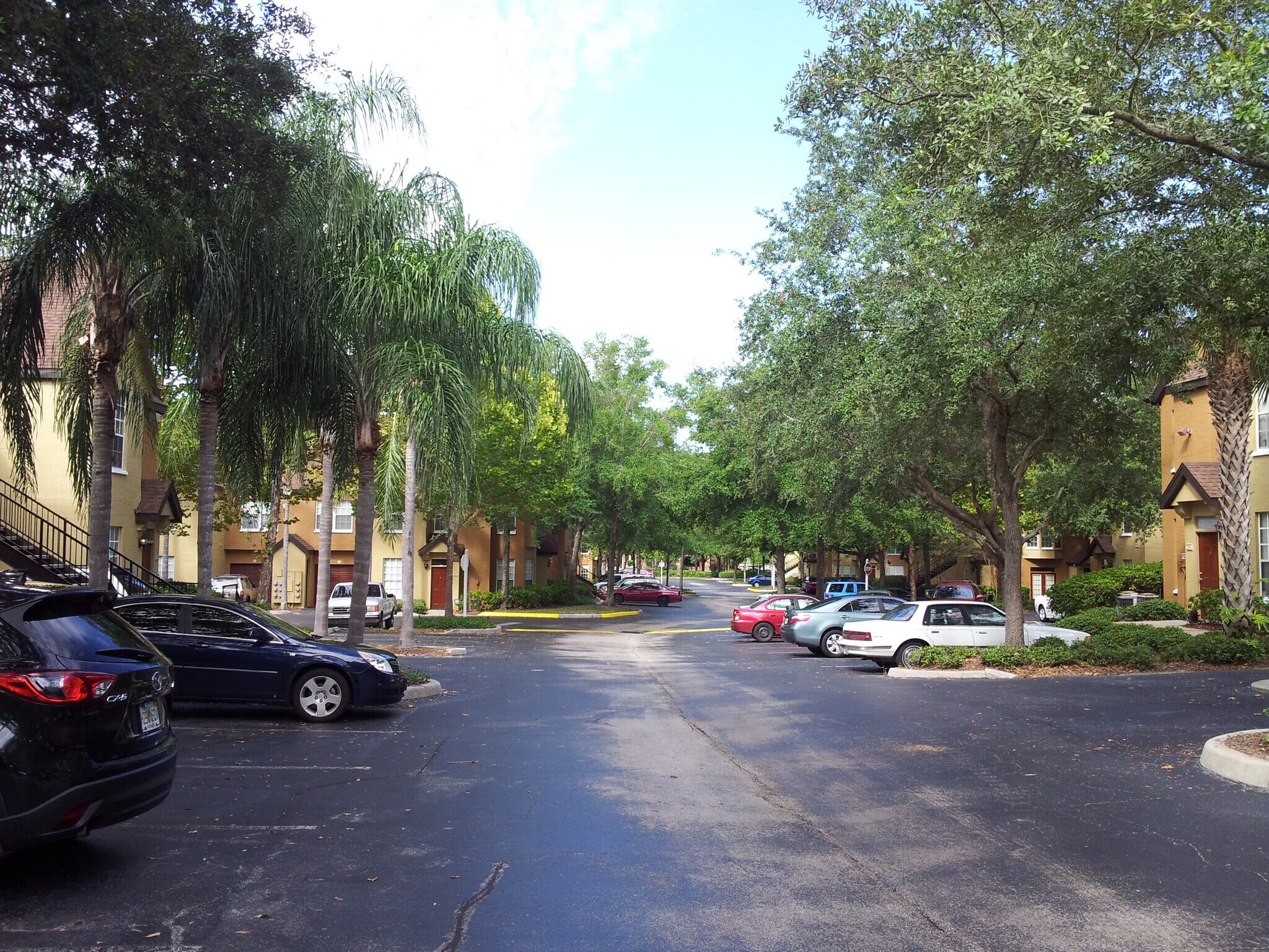 Parking View - 6352 Raleigh St