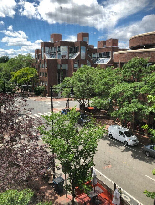 Primary Photo - Cambridge Apartments