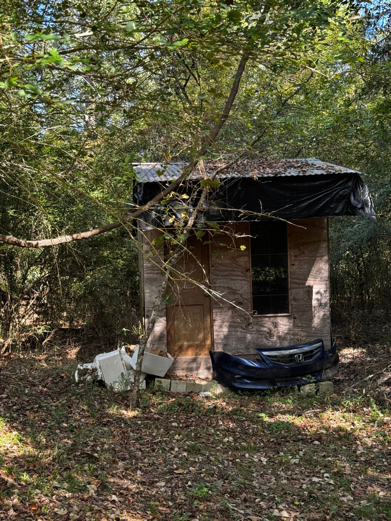 Building Photo - 117 Steed Rd