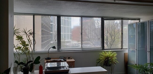 Building Photo - 6 Whittier Pl