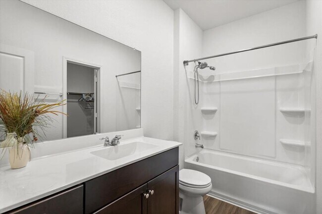 Building Photo - 2313 Forgetmenot Ln