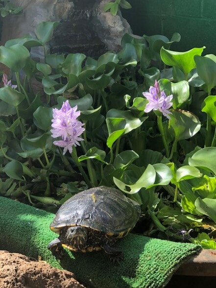 Building Photo - 1125A 2nd Ave