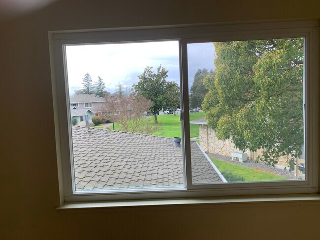 Building Photo - 2484 Plata Ct