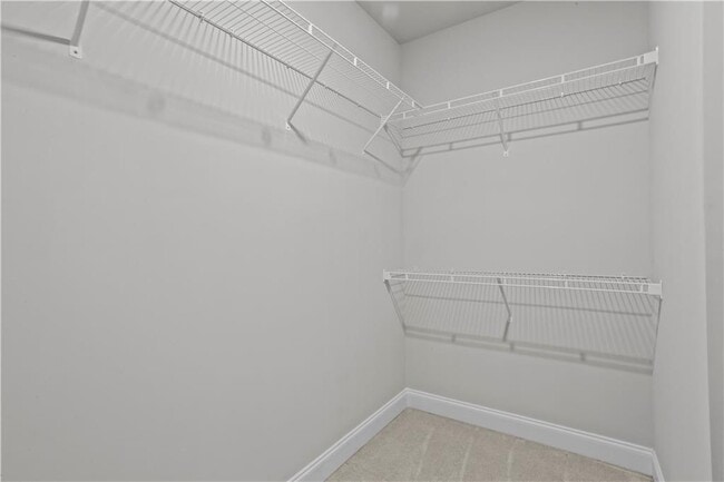 Building Photo - 3159 Rutter Dr
