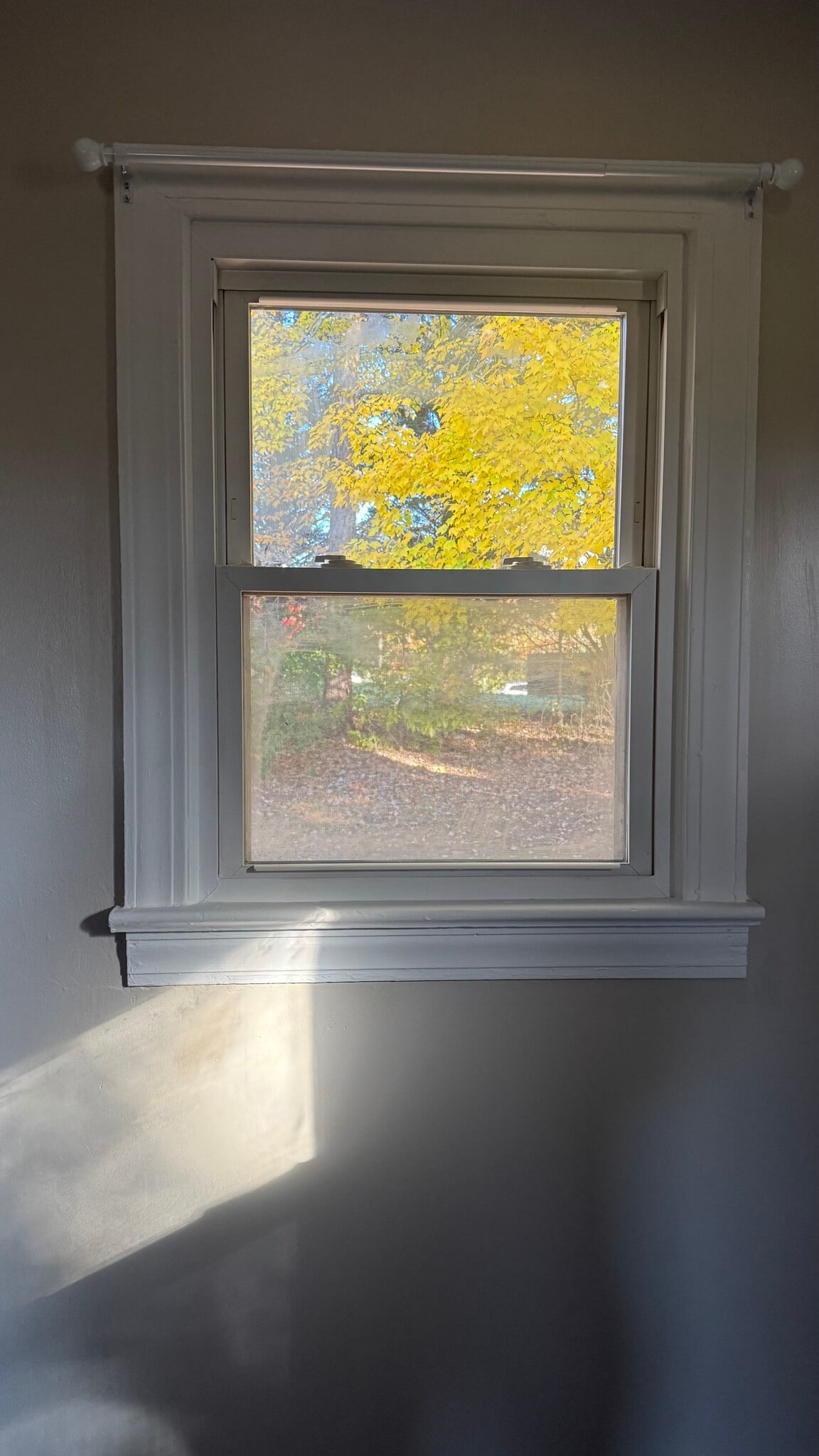 Window View Bedroom 2 - 255 16th Street Pl SE