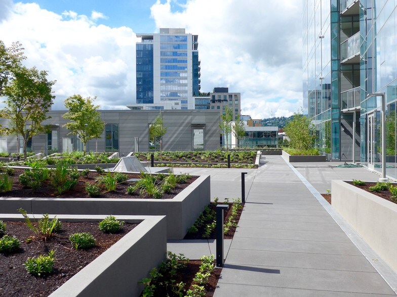 Beautiful outdoor areas to enjoy in summer - 1275 NW 10th Ave