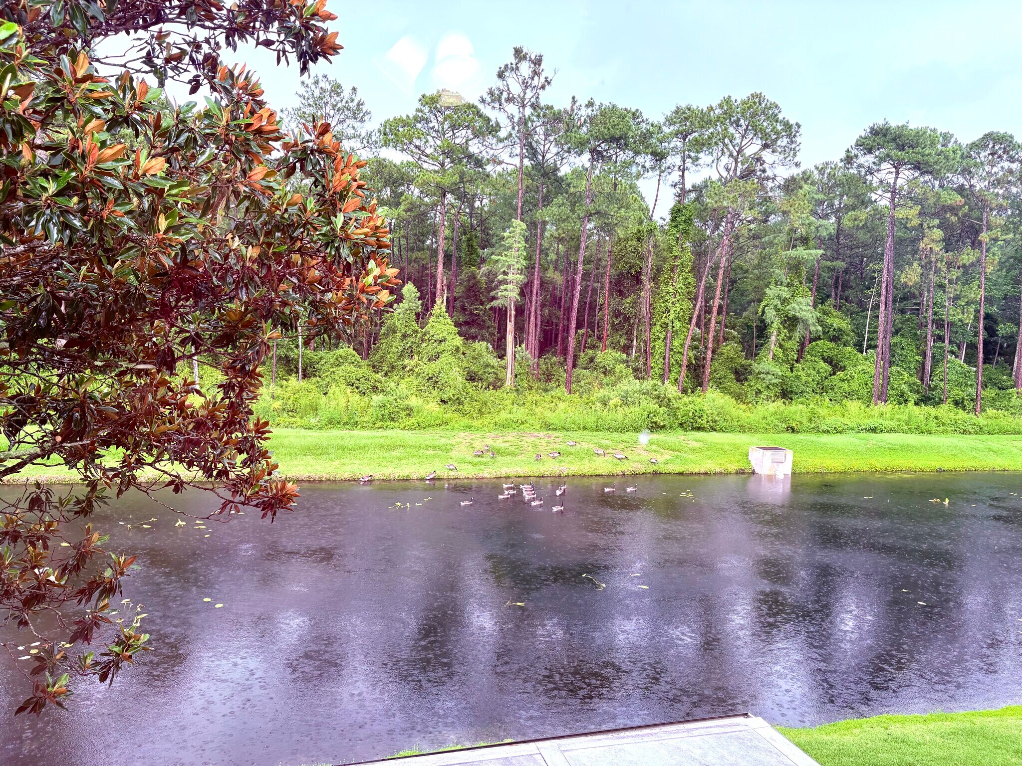 Building Photo - 762 Ginger Mill Dr