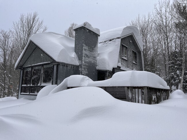 Building Photo - 51 Bluebrook Rd