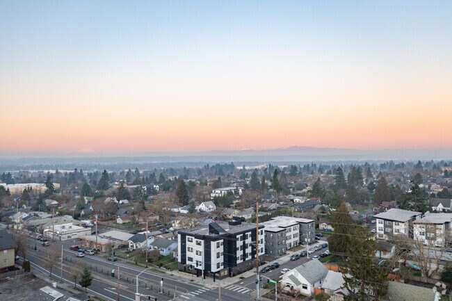 Aerial Photo - The Zelkova