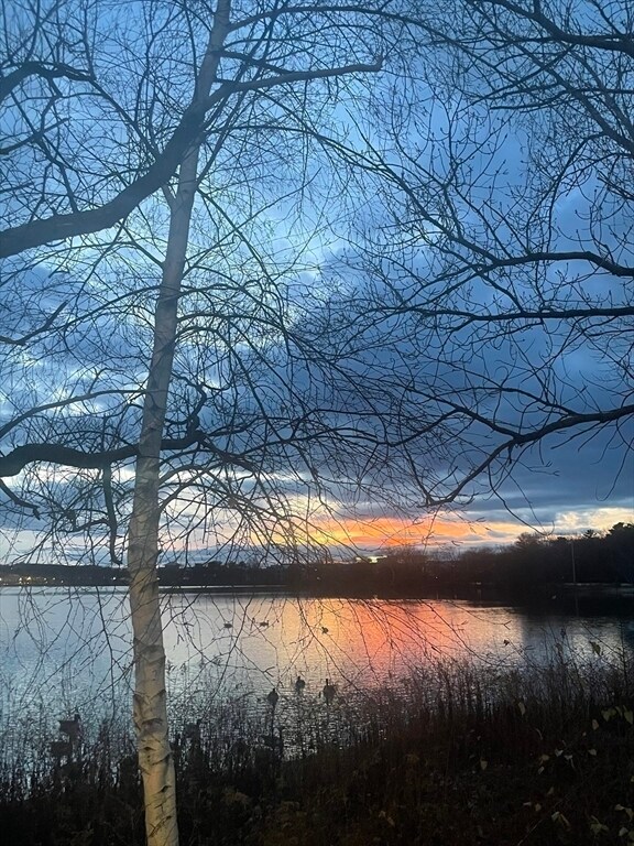 Building Photo - 18 Gould St