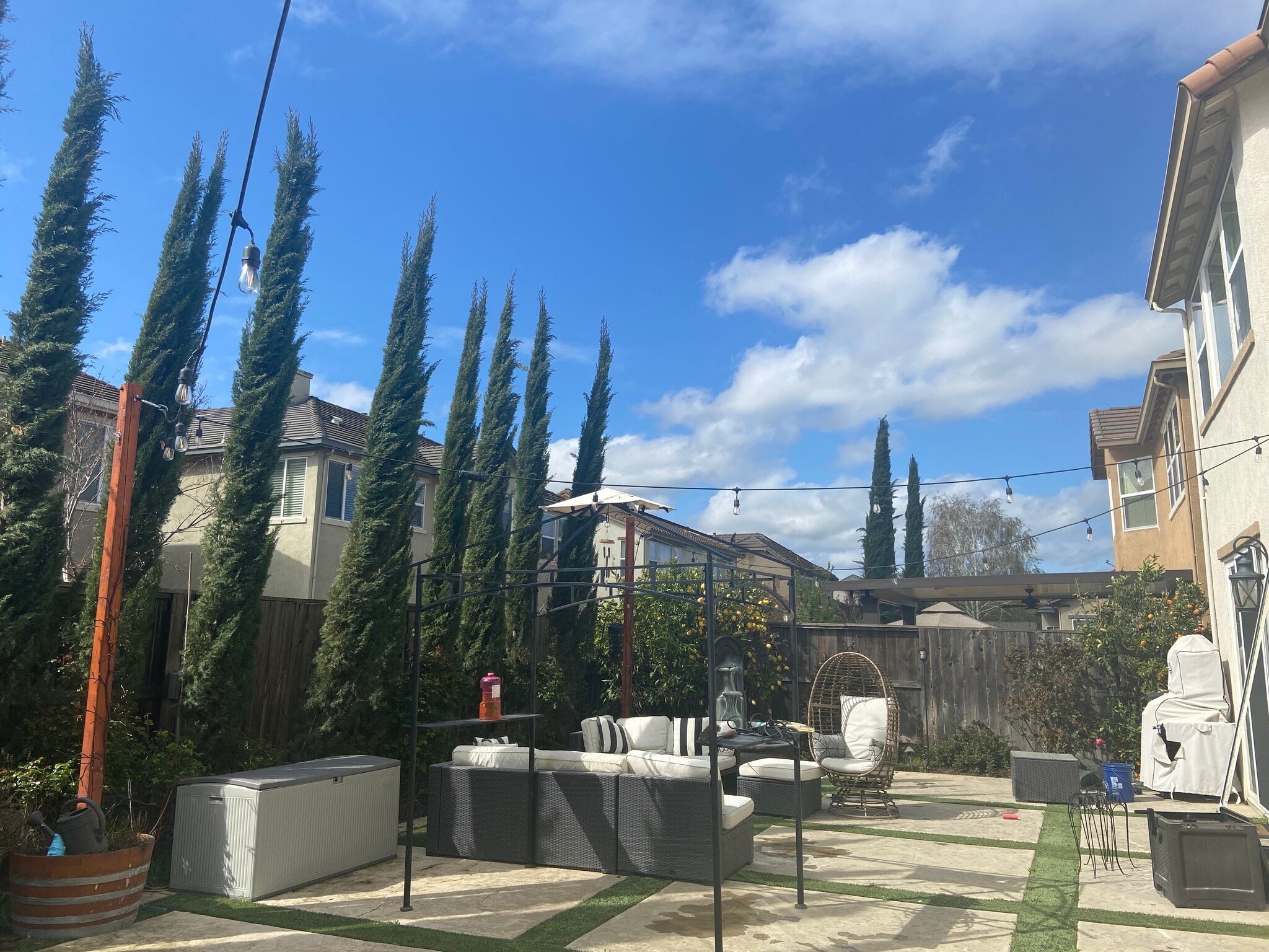 Backyard - 2070 Katnich Ln