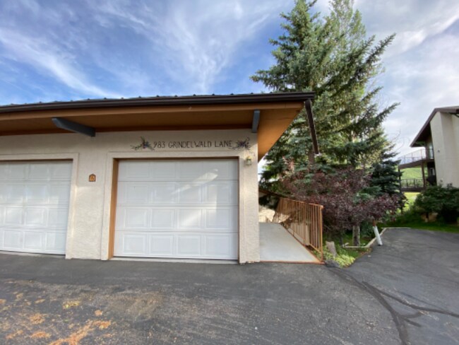 Building Photo - 983 Grindelwald Ln