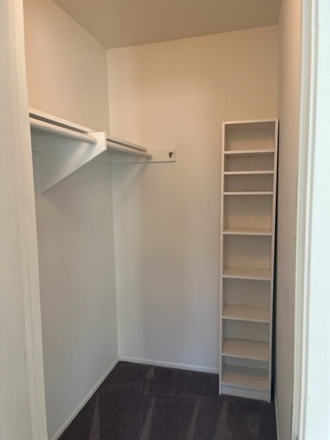 Building Photo - 2770 Caminito Cedros