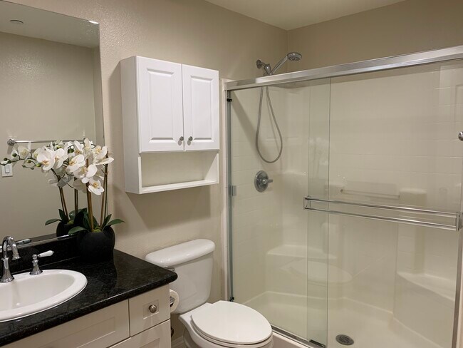 Master bathroom - 17168 Newhope St