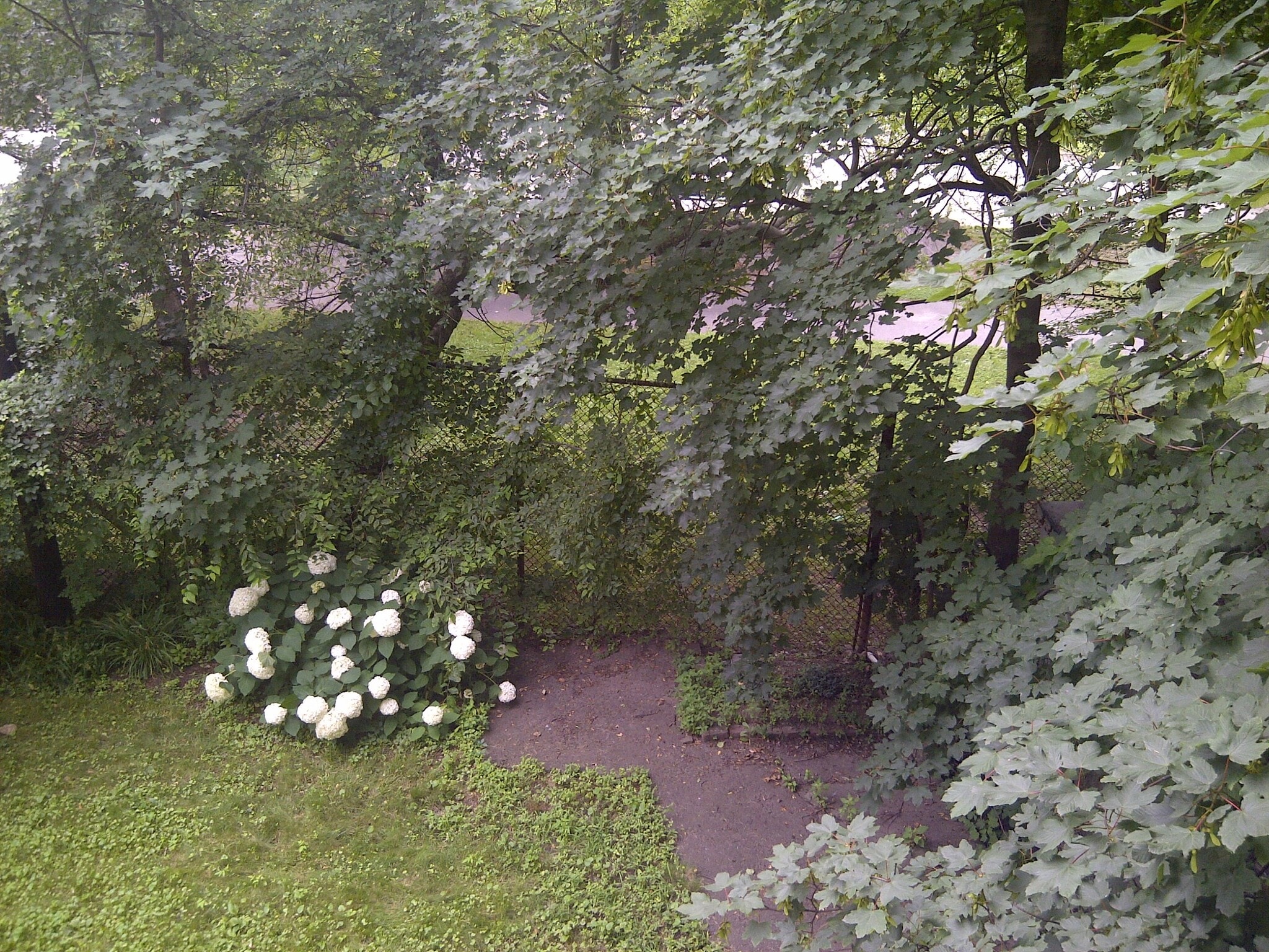 Your own fenced in yard. - 19 Ackley Pl