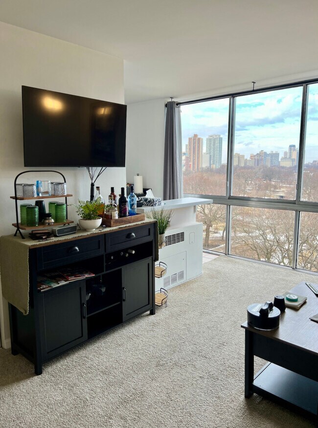 Building Photo - 1555 N Dearborn Pkwy