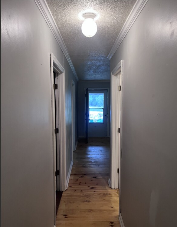 Building Photo - 1638 MS-178