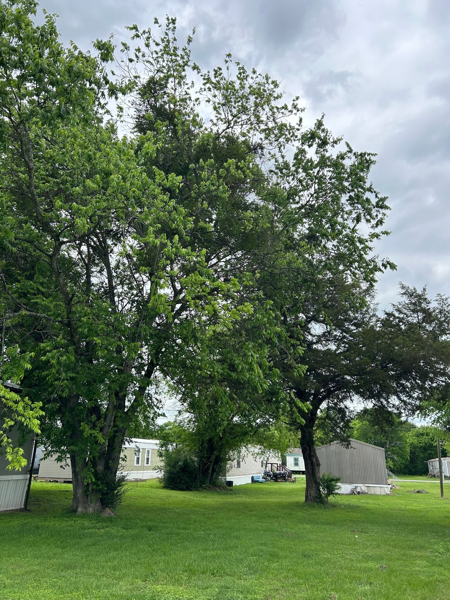 Building Photo - 4329 W Park Row Blvd