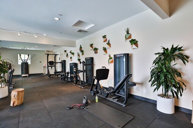 Building Photo - Gorgeous 4 Bedroom and 3 Bath Home in Chula vista/Otay Ranch Area