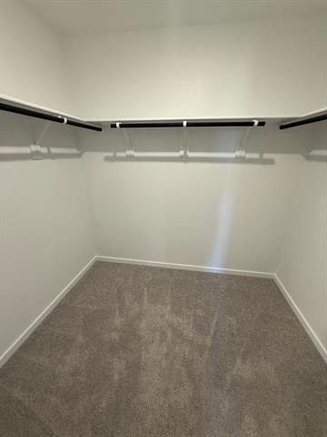 Building Photo - 4040 Twinleaf Dr