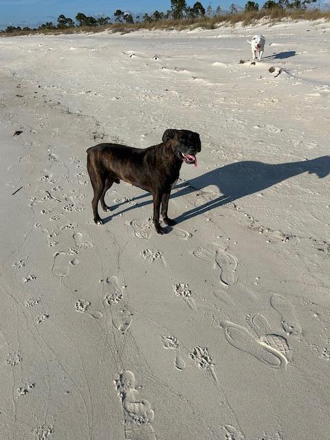 Building Photo - 260 Pond Cypress Cv