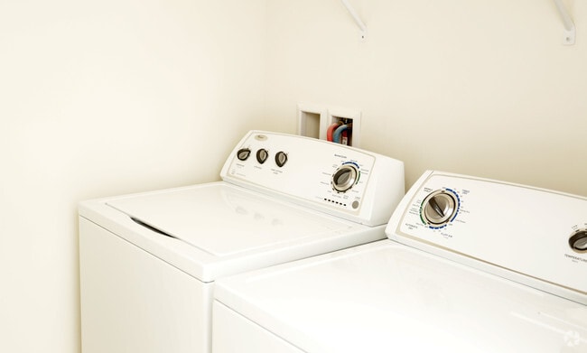 Interior Photo - Commons at Potomac Square