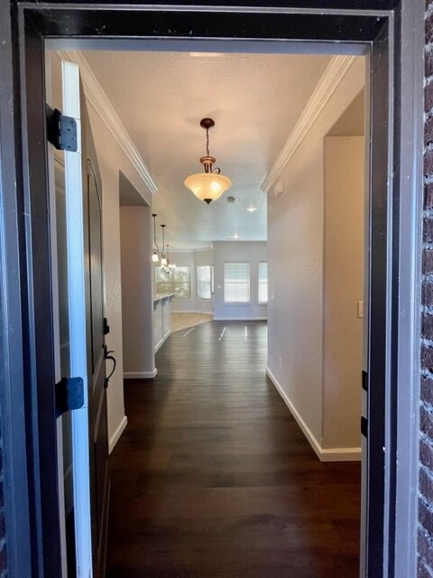 Building Photo - 1053 Tarah Knolls Cir