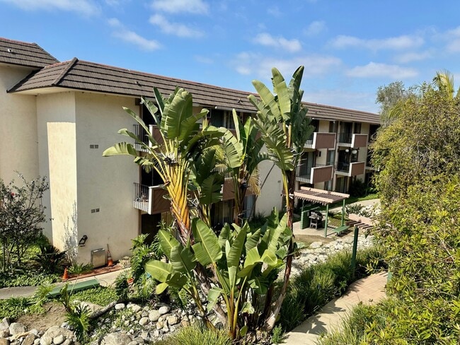Building Photo - 5585 E Pacific Coast Hwy