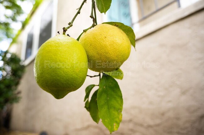 Building Photo - 4405 60th St