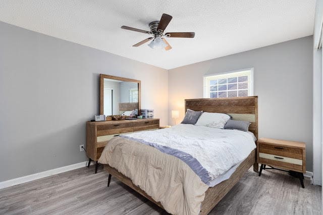 Building Photo - 117 Georgetown Dr