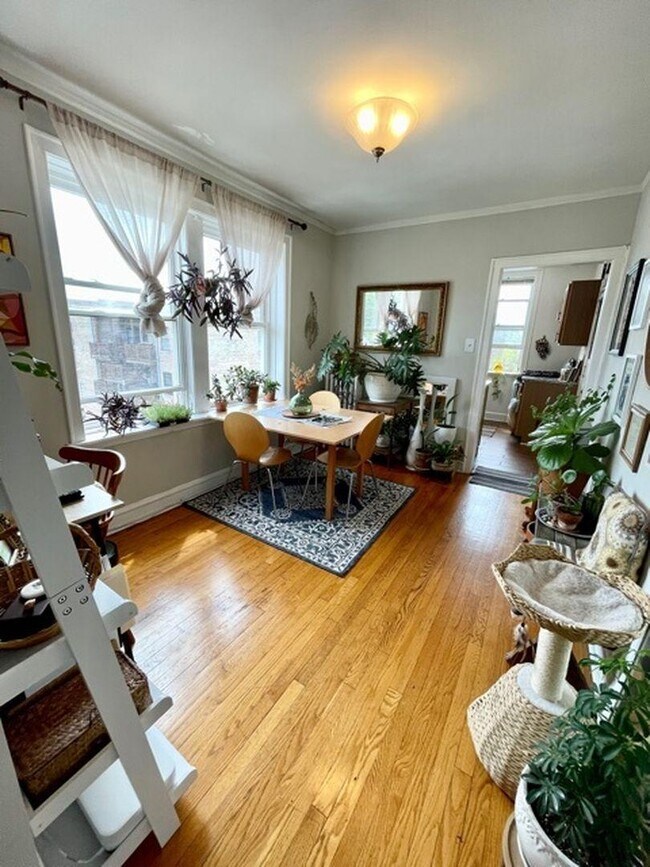Building Photo - 1 bedroom in Chicago IL 60640