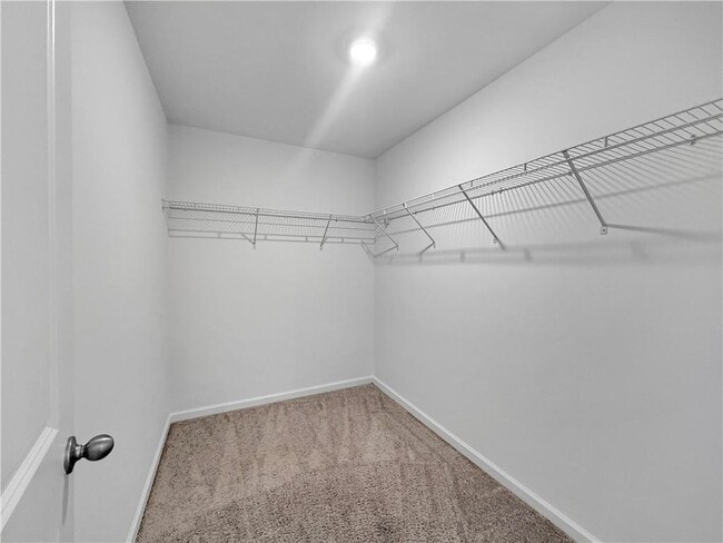 Building Photo - 3523 Condor Ct