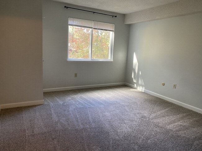 Building Photo - 11 Silver Hill Ln