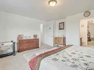 Building Photo - 2352 S Brass Birch Ln