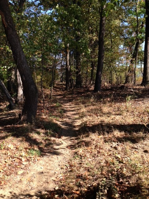 Building Photo - 304 Woodbridge Dr