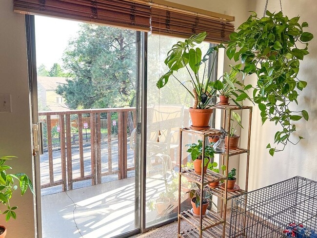 Building Photo - 3055 Trinity Dr