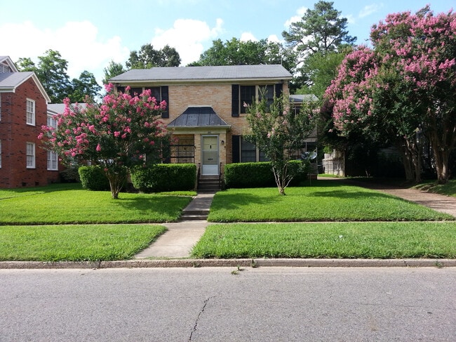 Building Photo - 528 Stephenson St