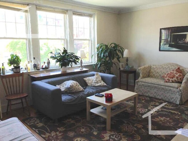 Building Photo - New Allston Listing!!