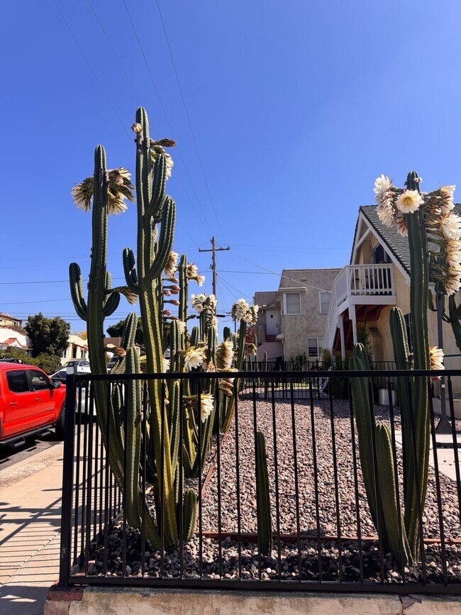 Building Photo - Studio with large private patio - Newly Re...