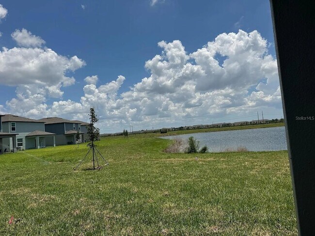 Building Photo - 6011 Blue Paloma Ct