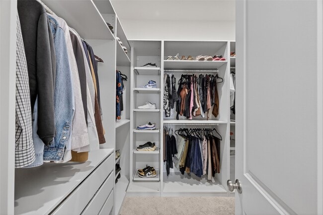 Building Photo - 4439 Stone Ridge Ln