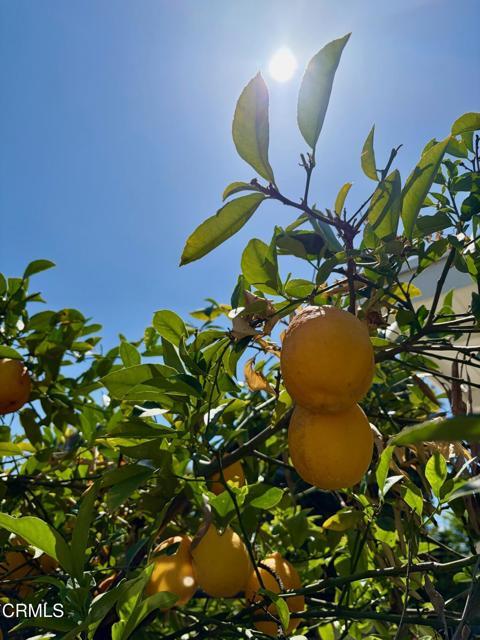 Building Photo - 1020 Garfield Ave