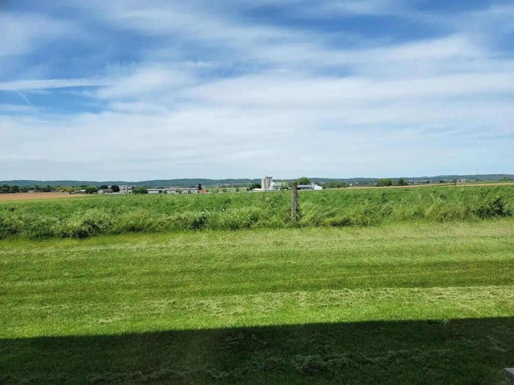 Building Photo - 1355 Martin Ave