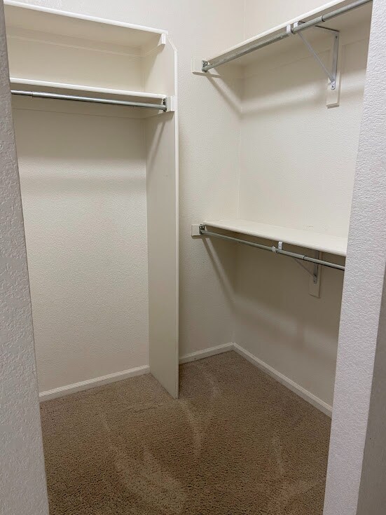 Building Photo - 1921 Grays Peak Dr